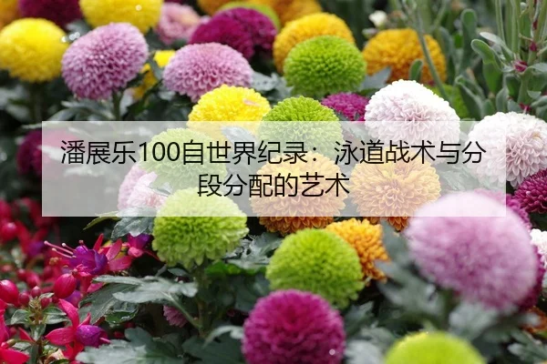 潘展乐100自世界纪录：泳道战术与分段分配的艺术