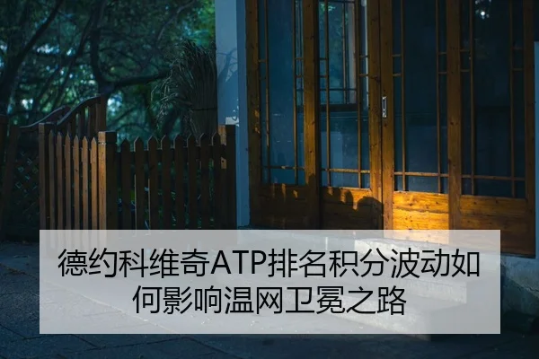 de-yue-ke-wei-qi-pai-ming-ji-fen-bo-dong-ru-he-ying-xiang-wen-wang-wei-mian-zhi-lu-2-861.jpg