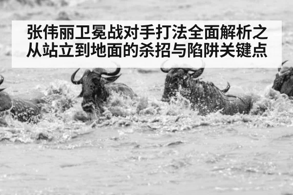 张伟丽卫冕战对手打法全面解析之从站立到地面的杀招与陷阱关键点